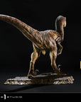 Jurassic Park Prime Collectibles Statue 1/10 Velociraptor Closed Mouth 19 cm