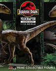 Jurassic Park Prime Collectibles Statue 1/10 Velociraptor Closed Mouth 19 cm