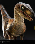 Jurassic Park Prime Collectibles Statue 1/10 Velociraptor Open Mouth 19 cm