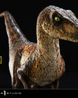 Jurassic Park Prime Collectibles Statue 1/10 Velociraptor Closed Mouth 19 cm