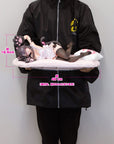 Azur Lane PVC Statue 1/3.5 Pamiat´ Merkuria Mercurial Chocolate Love Ver. 17 cm