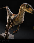 Jurassic Park Prime Collectibles Statue 1/10 Velociraptor Closed Mouth 19 cm