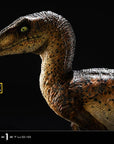 Jurassic Park Prime Collectibles Statue 1/10 Velociraptor Closed Mouth 19 cm