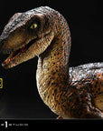 Jurassic Park Prime Collectibles Statue 1/10 Velociraptor Open Mouth 19 cm