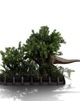 Jurassic Park Demi Art Scale Statue 1/20 T-Rex Chase 30 cm