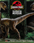 Jurassic Park Prime Collectibles Statue 1/10 Velociraptor Open Mouth 19 cm