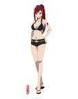 Fairy Tail Dakimakura Cover Erza Scarlet