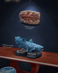 Wonders of the Wild Statue Coelacanth Deluxe Version 28 cm