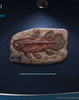 Wonders of the Wild Statue Coelacanth Deluxe Version 28 cm