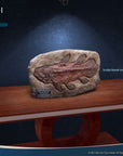 Wonders of the Wild Statue Coelacanth Deluxe Version 28 cm