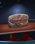 Wonders of the Wild Mini Replica Coelacanth Fossil 32 cm