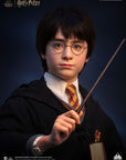 Harry Potter Bust 1/1 Harry 76 cm