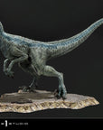 Jurassic World: Fallen Kingdom Prime Collectibles Statue 1/10 Blue (Open Mouth Version) 17 cm
