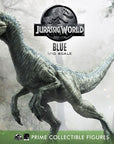 Jurassic World: Fallen Kingdom Prime Collectibles Statue 1/10 Blue (Open Mouth Version) 17 cm