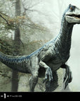 Jurassic World: Fallen Kingdom Prime Collectibles Statue 1/10 Blue (Open Mouth Version) 17 cm