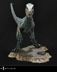 Jurassic World: Fallen Kingdom Prime Collectibles Statue 1/10 Blue (Open Mouth Version) 17 cm