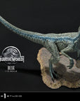 Jurassic World: Fallen Kingdom Prime Collectibles Statue 1/10 Blue (Open Mouth Version) 17 cm