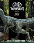 Jurassic World: Fallen Kingdom Prime Collectibles Statue 1/10 Blue (Open Mouth Version) 17 cm