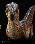 Jurassic Park Prime Collectibles Statue 1/10 Velociraptor Closed Mouth 19 cm