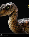 Jurassic Park Prime Collectibles Statue 1/10 Velociraptor Closed Mouth 19 cm