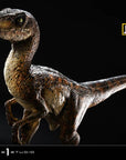 Jurassic Park Prime Collectibles Statue 1/10 Velociraptor Closed Mouth 19 cm