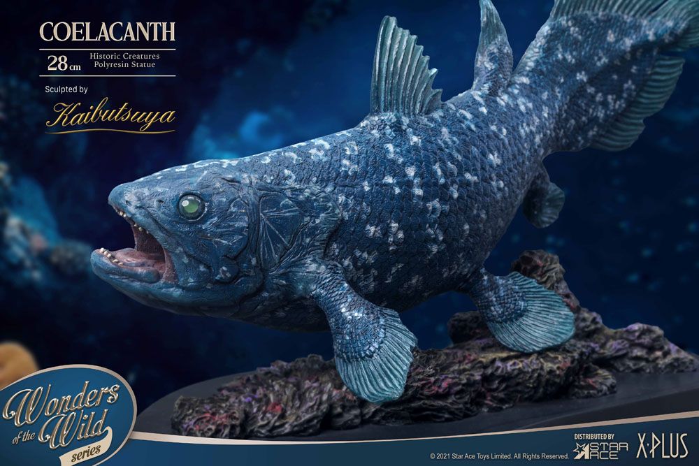 Wonders of the Wild Statue Coelacanth Deluxe Version 28 cm