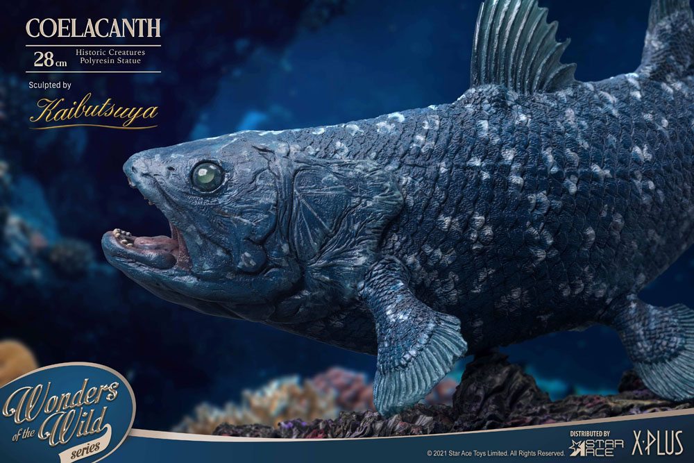 Wonders of the Wild Statue Coelacanth Deluxe Version 28 cm