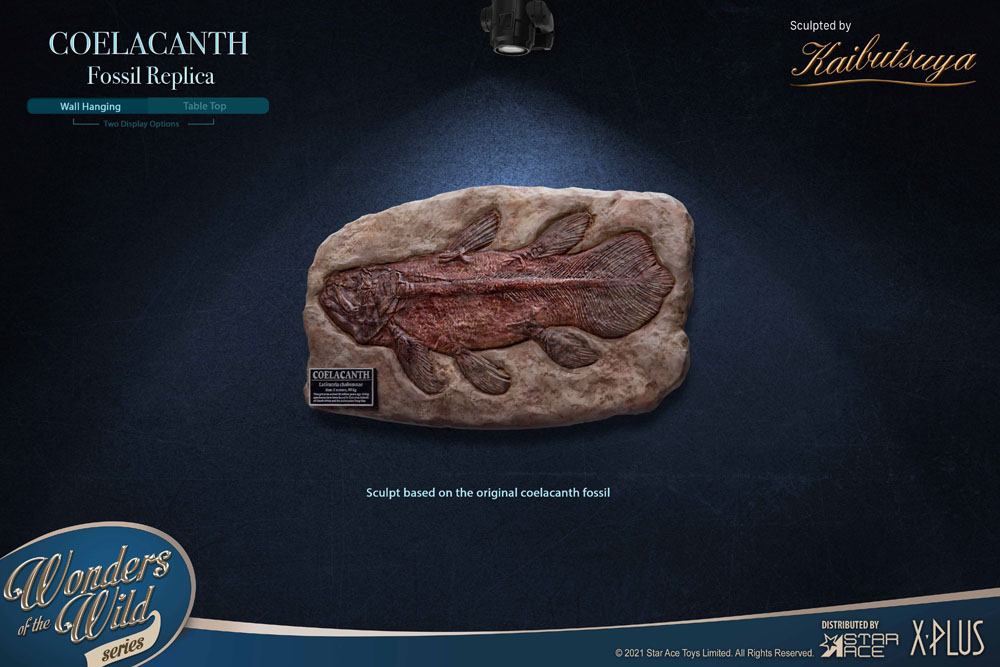 Wonders of the Wild Statue Coelacanth Deluxe Version 28 cm