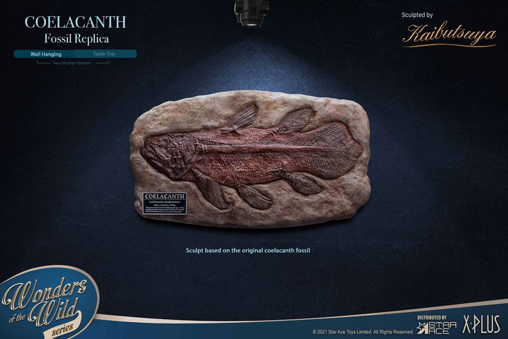 Wonders of the Wild Statue Coelacanth Deluxe Version 28 cm