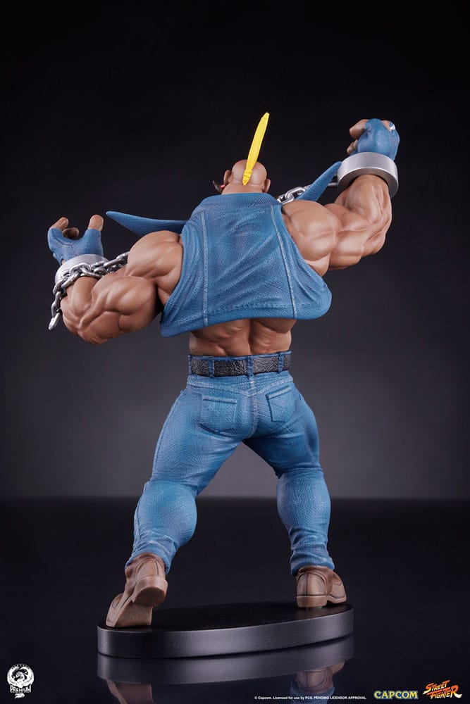 Street Fighter PVC Statues 1/10 Cammy &amp; Birdie 24 cm